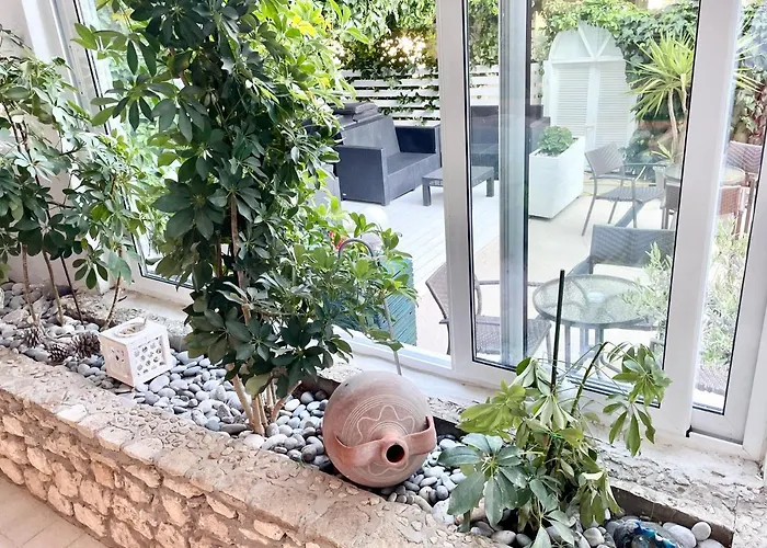 Pighi 3* Криопиги