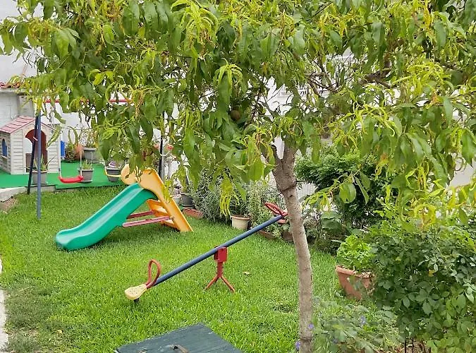 Pighi
