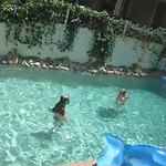 Pighi Otel