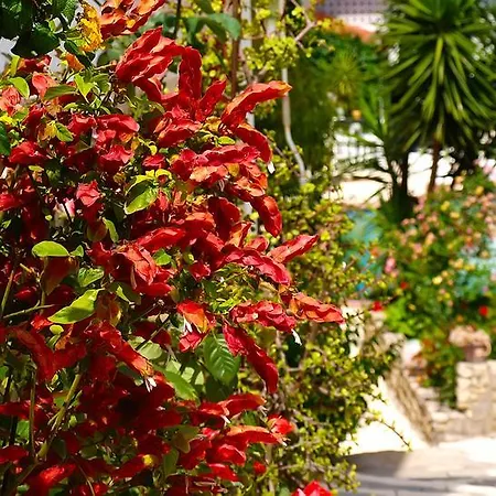 Pighi Hotel 3*