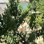 Pighi Ξενοδοχείο 3*