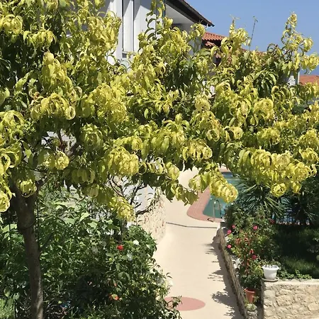 Hotel Pighi Kriopigi