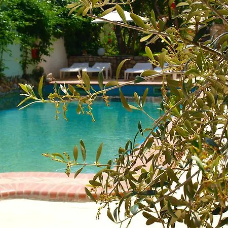 Hotel Pighi Kriopigi